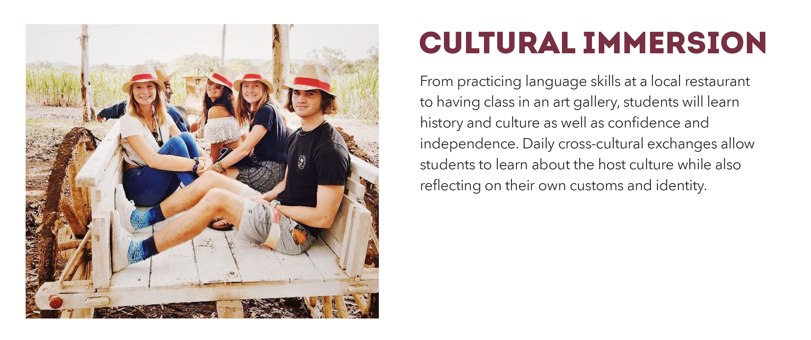 Culture Slider